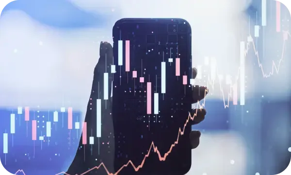 Saldo Kapitore automated trading processes